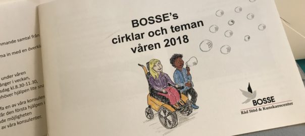 DRW meets BOSSE – advice, support and knowledge centre [BOSSE råd, stöd och kunskapscenter]