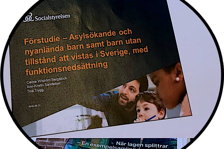 socialstyrelsens studie om ensamkommande barn med normbrytande funktionalitet.